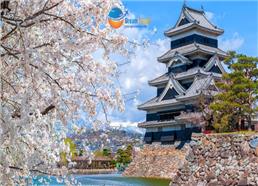 Tour Du Lịch Nhật Bản Mùa Hoa Anh Đào 2024